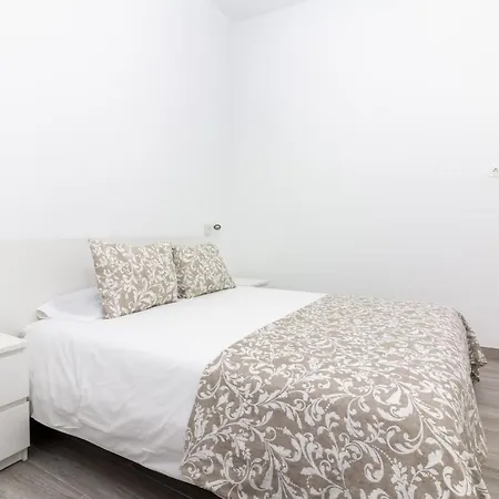 Apartment Homeforguest Moderno Apartamento En Cruz Santa Cruz de Tenerife